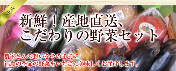 福島の安心野菜を届けたい!!農家さんの“こだわり”をそのままお届けします!!豪華・新鮮・産直・野菜セット
