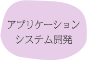アプリケーションシステム開発