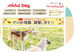Faithful Dog 様