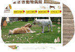まさき動物病院 様